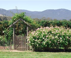 Samaria Farm - Gold Coast Attractions 2