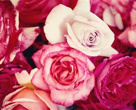 Samaria Farm - Gold Coast Attractions 1