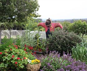 Samaria Farm - Gold Coast Attractions 4