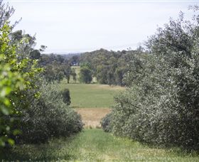 Samaria Farm - Gold Coast Attractions 7