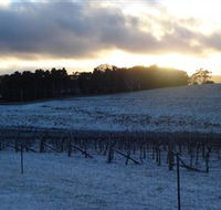 Charles Sturt University Winery - Gold Coast Attractions
