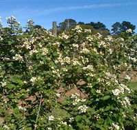 Huntley Berry Farm - Gold Coast Attractions