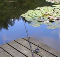 Ophir Reserve - Gold Coast Attractions