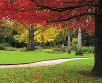 Albury Botanic Gardens