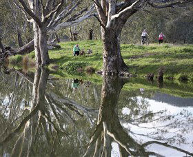 Wagirra Trail And Yindyamarra Sculpture Walk - Gold Coast Attractions 1