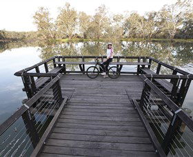 Wagirra Trail And Yindyamarra Sculpture Walk - Gold Coast Attractions 6