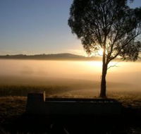 Patina Wines - Gold Coast Attractions