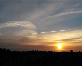 Beechworth Wine Estates - Gold Coast Attractions 4