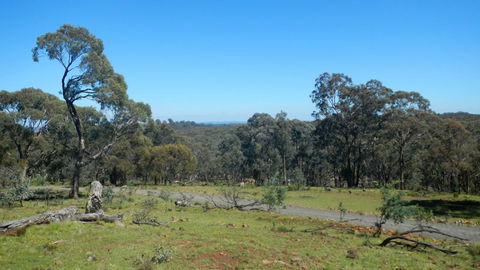 Bald Hill Lookout - Gold Coast Attractions 0