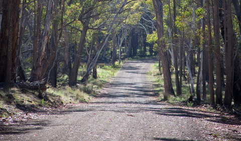 Coolah Tops National Park - Gold Coast Attractions 1