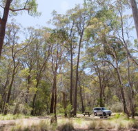 Coolah Tops National Park - Gold Coast Attractions