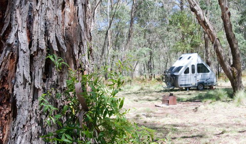 Coolah Tops National Park - Gold Coast Attractions 2