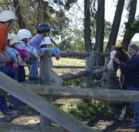 Harlow Park Horse Riding - Gold Coast Attractions