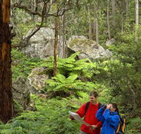 Centennial Glen - Gold Coast Attractions