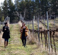 Mount Majura Vineyard - Gold Coast Attractions
