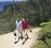 Blue Mountains Walking Tracks - Gold Coast Attractions