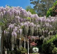 Nooroo Gardens - Gold Coast Attractions