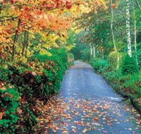 Mount Wilson and Mount Irvine - Gold Coast Attractions