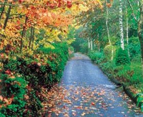 Mount Wilson And Mount Irvine - Gold Coast Attractions 0