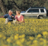 Coalseam Conservation Park - Gold Coast Attractions