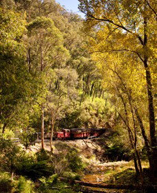 Walhalla Goldfields Railway - Gold Coast Attractions 3