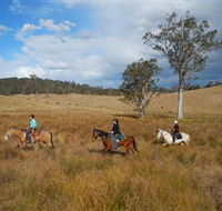 Chapman Valley Horse Riding - Gold Coast Attractions