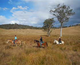 Chapman Valley Horse Riding - Gold Coast Attractions 0
