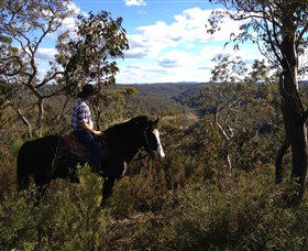 Chapman Valley Horse Riding - Gold Coast Attractions 2