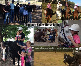 Chapman Valley Horse Riding - Gold Coast Attractions 5