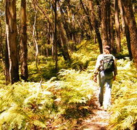 Federal Pass - Gold Coast Attractions
