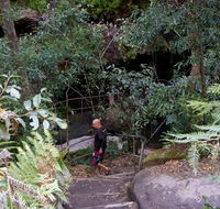 Leura Cascades Fern Bower - Gold Coast Attractions