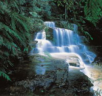 Leura Cascades - Gold Coast Attractions