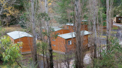 Wombeyan Karst Conservation Reserve - Gold Coast Attractions 1