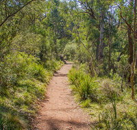 Mares Forest Creek walking track - Gold Coast Attractions