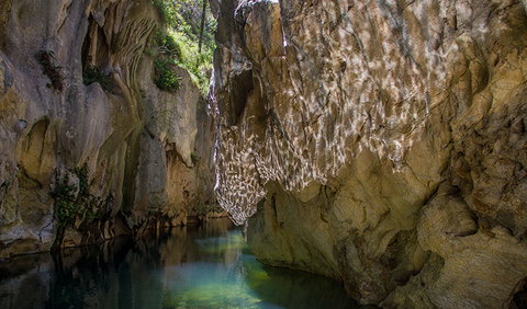 Mares Forest Creek Walking Track - Gold Coast Attractions 2