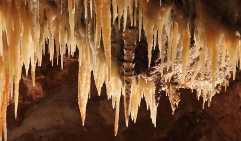 Wollondilly Cave - Gold Coast Attractions 1