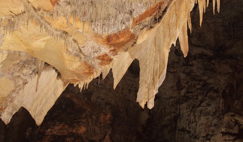 Wollondilly Cave - Gold Coast Attractions 3
