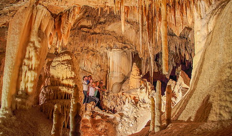 Kooringa Cave - Gold Coast Attractions 0