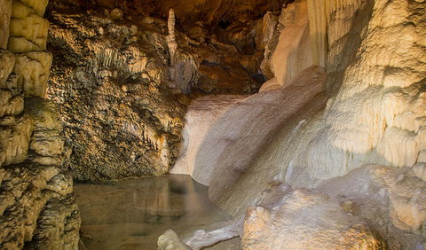Kooringa Cave - Gold Coast Attractions 1