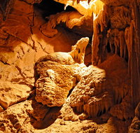 Fig Tree Cave - Gold Coast Attractions