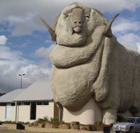 Big Merino - Gold Coast Attractions