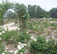 Victoria Park Rose Garden - Gold Coast Attractions