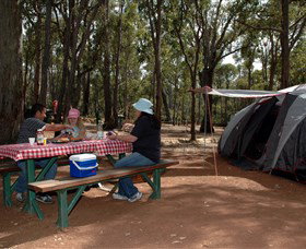 Lake Leschenaultia - Gold Coast Attractions 2
