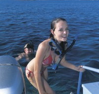 Seal Cove - Gold Coast Attractions