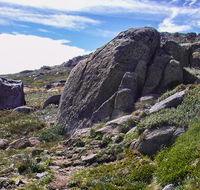 Mount Stillwell walk - Gold Coast Attractions