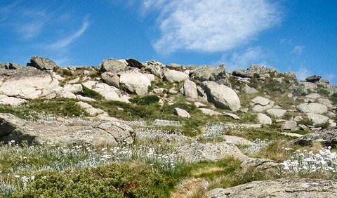 Mount Stillwell Walk - Gold Coast Attractions 1