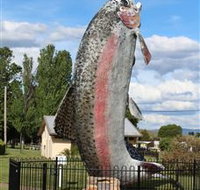 Big Trout - Gold Coast Attractions