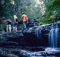 South Lawson Waterfall Circuit - Gold Coast Attractions