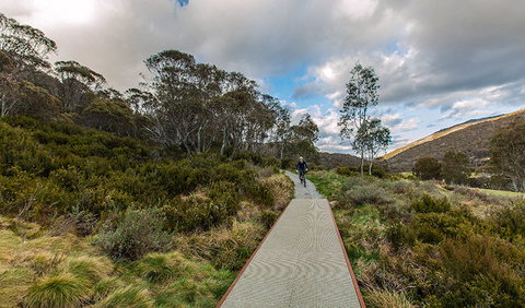 Thredbo Valley Track - Gold Coast Attractions 0