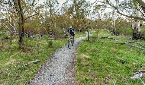 Thredbo Valley Track - Gold Coast Attractions 1